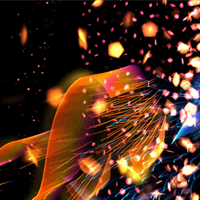 Lloyd Alvarez Teaches You Particle Ballet